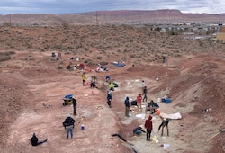 (Andrew Milner | The St. George Dinosaur Discovery Site) A one-acre site being excavated by scientists and volunteers before St. George begins construction on an electric power substation.